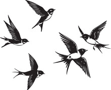 Swallow Birds Flying Black Silhouette 