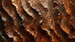 Close-Up View of Bark Texture on a Mature Oak Tree Trunk