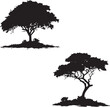 Tree silhouettes 