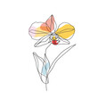 Elegant line drawing of an orchid flower. Illustration for invites and cards