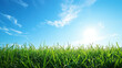 Green grass on blue clear sky, spring nature theme. Panorama, generative ai