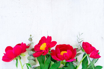 Poster - Fresh peony flowers