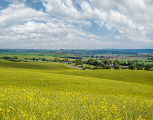 Wall Mural - spring evening view with rapeseed yellow blooming fields in sunlight with cloud shadows. natural sea