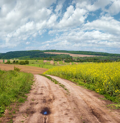 Wall Mural - spring countryside view with dirty road, rapeseed yellow blooming fields, village, hills. ukraine, l
