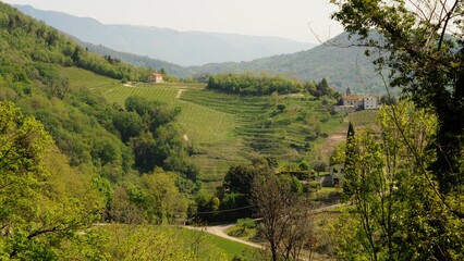 Canvas Print - Paesaggio collinare