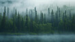 Photographs of boreal forests, also known as taiga forests