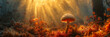 a mushroom expels it spores in a warm sun beam