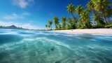 Fototapeta Do akwarium - Panoramic view of tropical beach with palm trees and transparent water