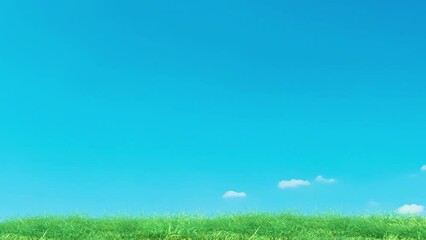 Wall Mural - grass slow windy noise on blue sky loop. scenery of meadow grass and windy slow on blue background.