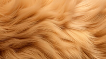 Tan Plush Dog Fur Background