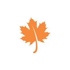Wall Mural - maple leaf icon