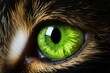 Macro Green Cat Eyes