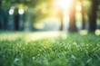 Sunny day in the park,  Green grass with bokeh background