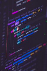 Wall Mural - developer screen with colored website programming code