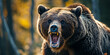 Ferocious grizzly bear, wildlife danger concept.