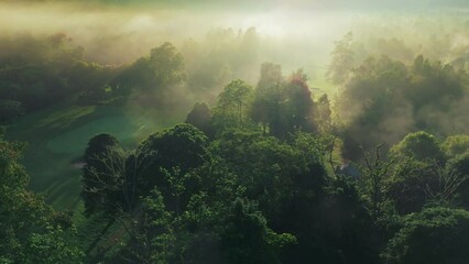 Fototapete - Aerial view of sun rays break through green trees foliage of tropical forest. Misty morning in the wood. Magical foggy sunrise in the rain forest