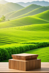 Plain wooden podium for product with green landscape background - Product showing