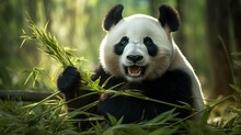 A Cute And Fluffy Panda Enjoying A Bamboo Snack In A Green Forest