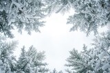 Fototapeta Las - Idyllic Snowy Scene With Sparkling Evergreen Branches In Winter Wonderland