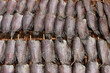 Single sunshine dried fish made from gourami 2