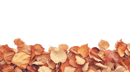 Canvas Print - Dry autumn leaves at the bottom creating a natural border on a transparent backdrop, with space for text.