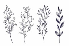 Hand Drawn Floral Branch And Minimalist Flowers For Logo Or Tattoo On White Background