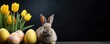 easter bunny with tulips and painted eggs on dark background, ai generated