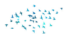A Flock Of Blue Watercolor Flying Birds. Free Birds Abstraction. Hand Drawing. Not AI. Vector Illustration