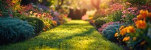 Beautiful Photo Of A Summer Garden For Background