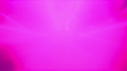 Wall Mural - the music reverberates through the thick fog complemented by bursts of vibrant laser lights that add