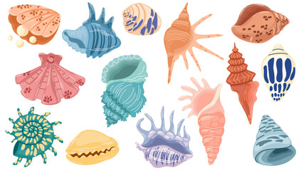 Set of seashells and starfishes. Pearl corral and snail shells. Sea life elements. Vector doodle cartoon set of marine life objects for your design.