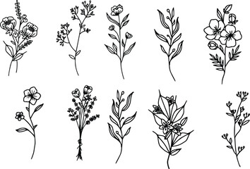 Wall Mural - Set of handdrawn floral elements for design