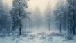 Dreamy winter forest in the fog. Atmospheric mood.