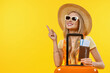 Young smiling woman pointing in vacation with suitcase and passport over isolated yellow background. Traveler on trip voyage tourist showing copy space