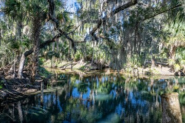 Canvas Print - central florida