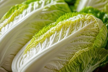 Macro shot of fresh Chinese cabbage or napa cabbage displaying its texture