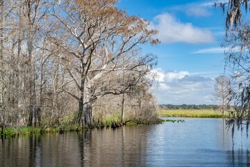 Wall Mural - central florida