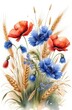 Floral field bouquet with poppy flowers, daisies, cornflowers, meadow grasses, golden spikelets of wheat. Hand-drawn watercolor illustration white background for harvest festival.