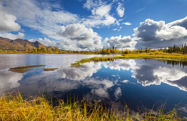 Wall Mural - Autumn lake