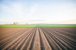 © studioworkstock - a fertile, plowed field ready for sowing