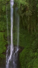 Fototapete - Vertical video of a tropical waterfall in Bali covered in dense vegetation
