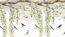 Willow Branches Hanging From Above With Birds On A White Background Wallpaper Murals And Wall Paintings For Interior Printing