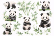 Collection of watercolor pandas in various poses with bamboo shoots and leaves, capturing the playful and gentle nature of these beloved animals.