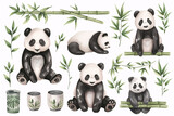 Fototapeta Dziecięca - Collection of watercolor pandas in various poses with bamboo shoots and leaves, capturing the playful and gentle nature of these beloved animals.