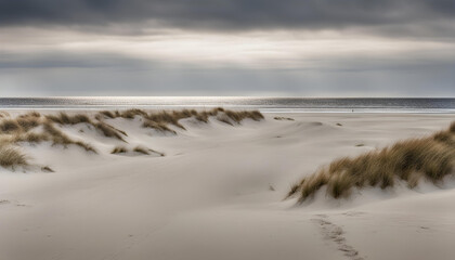 Wall Mural - snow on the beach