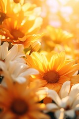 Canvas Print - A beautiful bunch of yellow and white flowers in a field. Perfect for springtime or nature-themed projects