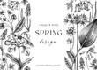 Vintage spring background. Hand drawn vector illustration. Vintage floral frame. Woodland wild flower sketches. Wildflowers design template