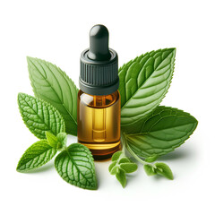 Poster - Green tea leaves and bottle with essential oil on white background