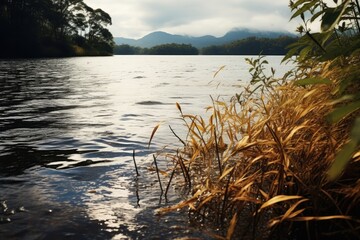 Poster - A peaceful scene featuring a body of water surrounded by lush green trees and grass. Ideal for nature lovers and those seeking tranquility in their designs