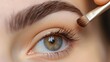 Close up eyebrows with eyebrow brush. Care for brows, eyebrows lamination. Brow procedures. Long eyelashes, eyebrows